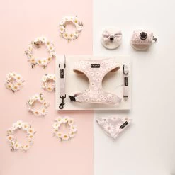 Daisy Chain Poop Bag Holder -Cocopup London DSC 7777 f79d726a e2d4 4fac b1b4 9dfb2cbe1d8d