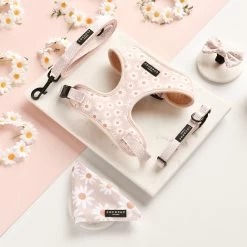 Daisy Chain Adjustable Neck Harness, Lead & Collar Bundle 25 Daisy Chain Adjustable Neck Harness, Lead & Collar Bundle -Cocopup London DSC 7846 f92c57d8 e7be 42b8 8613 8b093cbc4f77