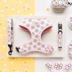 Daisy Gingham Rave Lead -Cocopup London DSC 7956