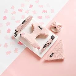 Teddy Lead - Love-a-Lot -Cocopup London DSC 8221 b73fe24e 1023 4fd2 9b9d fd30f2f03e8c