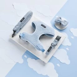 Teddy Collar - Daydream -Cocopup London DSC 8325 787b687b 5b85 4053 8f41 19499c6b5945