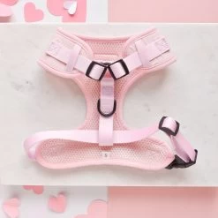 Luxe Baby Pink Heart Adjustable Neck Harness, Lead & Collar Bundle -Cocopup London DSC 8461 1800x1800 b43bc8ac 8139 4c00 8536 282eceefe598