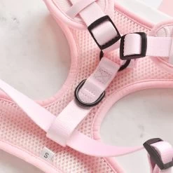 Luxe Adjustable Neck Harness - Baby Pink Heart -Cocopup London DSC 8472