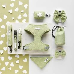 Luxe Bow Tie - Sage Heart -Cocopup London DSC 8480