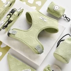 Luxe Adjustable Neck Harness - Sage Heart -Cocopup London DSC 8528