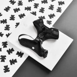 Teddy Baloo Adjustable Neck Harness, Lead & Collar Bundle -Cocopup London DSC 8595