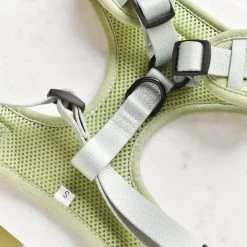 Luxe Adjustable Neck Harness - Sage Heart -Cocopup London DSC 8603