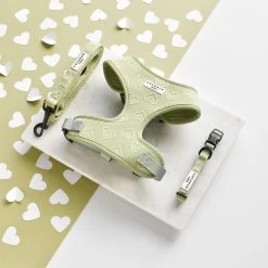 Luxe Sage Heart Adjustable Neck Harness, Lead & Collar Bundle