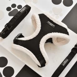 Black Aviator Adjustable Neck Harness -Cocopup London DSC 9395