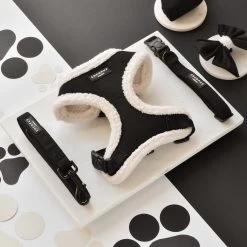 Black Aviator Adjustable Neck Harness -Cocopup London DSC 9414