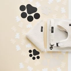 Teddy Bandana - Dolly -Cocopup London E0D11921 257E 41F2 862F EE98D4E4E5B9