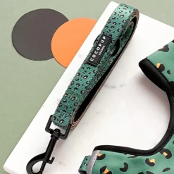 Khaki Leopard Adjustable Neck Harness, Lead & Collar Bundle -Cocopup London GREYBAG 4 4b7dde25 fa28 47f4 90d3 a02b7b6912ae