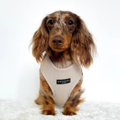 Brown Tweed Adjustable Neck Harness, Lead & Collar Bundle -Cocopup London GREYBAG 5 498cb303 9e9c 4cbf b032 64600b97fb41