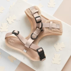 Teddy Adjustable Neck Harness - Rupert -Cocopup London GREYBAG 7330be80 a1ae 4371 8a5c bcaa539370f2