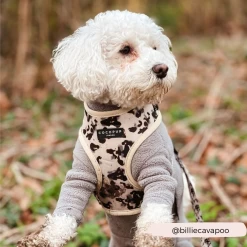 Ivory Tort Adjustable Neck Harness -Cocopup London GraceCocopupwebsitepics 1
