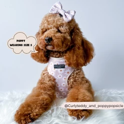 Daisy Chain Bow Tie -Cocopup London GraceCocopupwebsitepics 19
