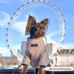 Teddy Adjustable Neck Harness - Love-a-Lot 27 Teddy Adjustable Neck Harness - Love-a-Lot -Cocopup London GraceCocopupwebsitepics 2