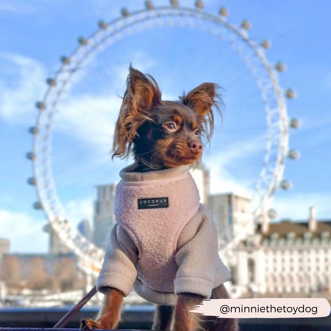 Teddy Adjustable Neck Harness - Love-a-Lot 8 Teddy Adjustable Neck Harness - Love-a-Lot - Image 6