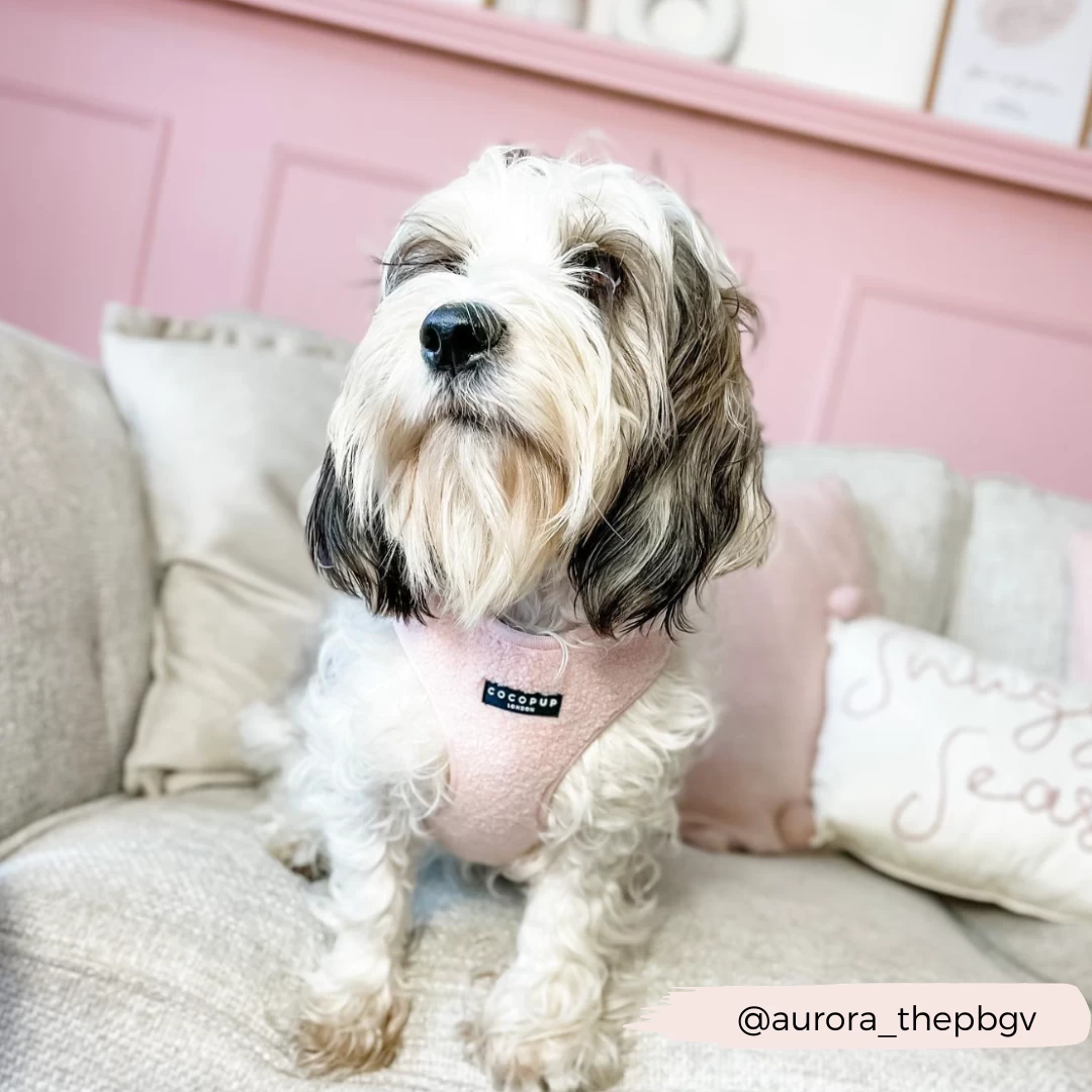 Teddy Adjustable Neck Harness - Love-a-Lot 15 Teddy Adjustable Neck Harness - Love-a-Lot - Image 13