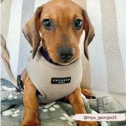 Brown Tweed Adjustable Neck Harness -Cocopup London GraceCocopupwebsitepics 5