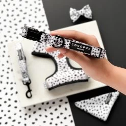 Monochrome Spots Puppy Lead & Collar Set -Cocopup London IMG 1905 e51e54e9 4302 4d15 8d05 272dd121dfe1