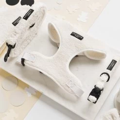 Teddy Adjustable Neck Harness - Dolly -Cocopup London IMG 8304