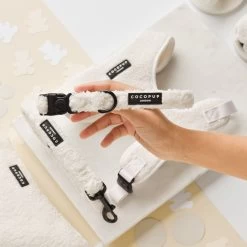 Teddy Collar - Dolly