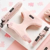 Teddy Love-a-Lot Adjustable Neck Harness, Lead & Collar Bundle -Cocopup London Madebyrealartistis 34