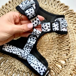 Monochrome Spots Adjustable Neck Harness -Cocopup London Mono spots adjustable