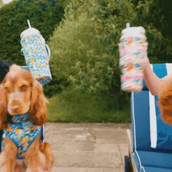 Portofino Pup Tumbler Carry Case By Coconut Lane -Cocopup London Untitled design 19 1