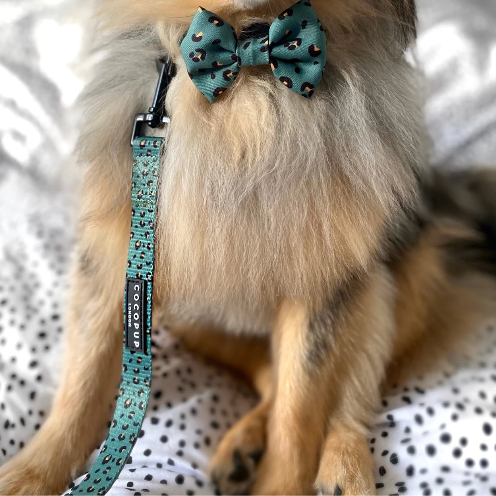 Khaki Leopard Lead - Puppy 5 Khaki Leopard Lead - Puppy - Image 3