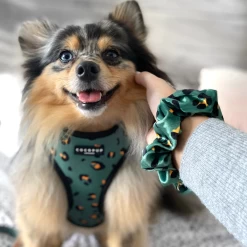 Khaki Leopard Adjustable Neck Harness -Cocopup London Untitleddesign 2020 11 10T112819.075 f2ce806a 6d0d 48ed 9a65 35b3ed67b5df