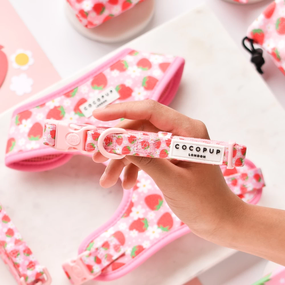 Pupberry Fields Collar 3 Pupberry Fields Collar