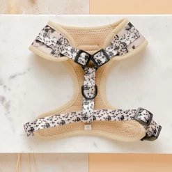 Ivory Tort Adjustable Neck Harness, Lead & Collar Bundle 20 Ivory Tort Adjustable Neck Harness, Lead & Collar Bundle -Cocopup London Untitleddesign 23 1800x1800 b5d2ccf9 e3a5 4f7f 926b e44b3a089d8d