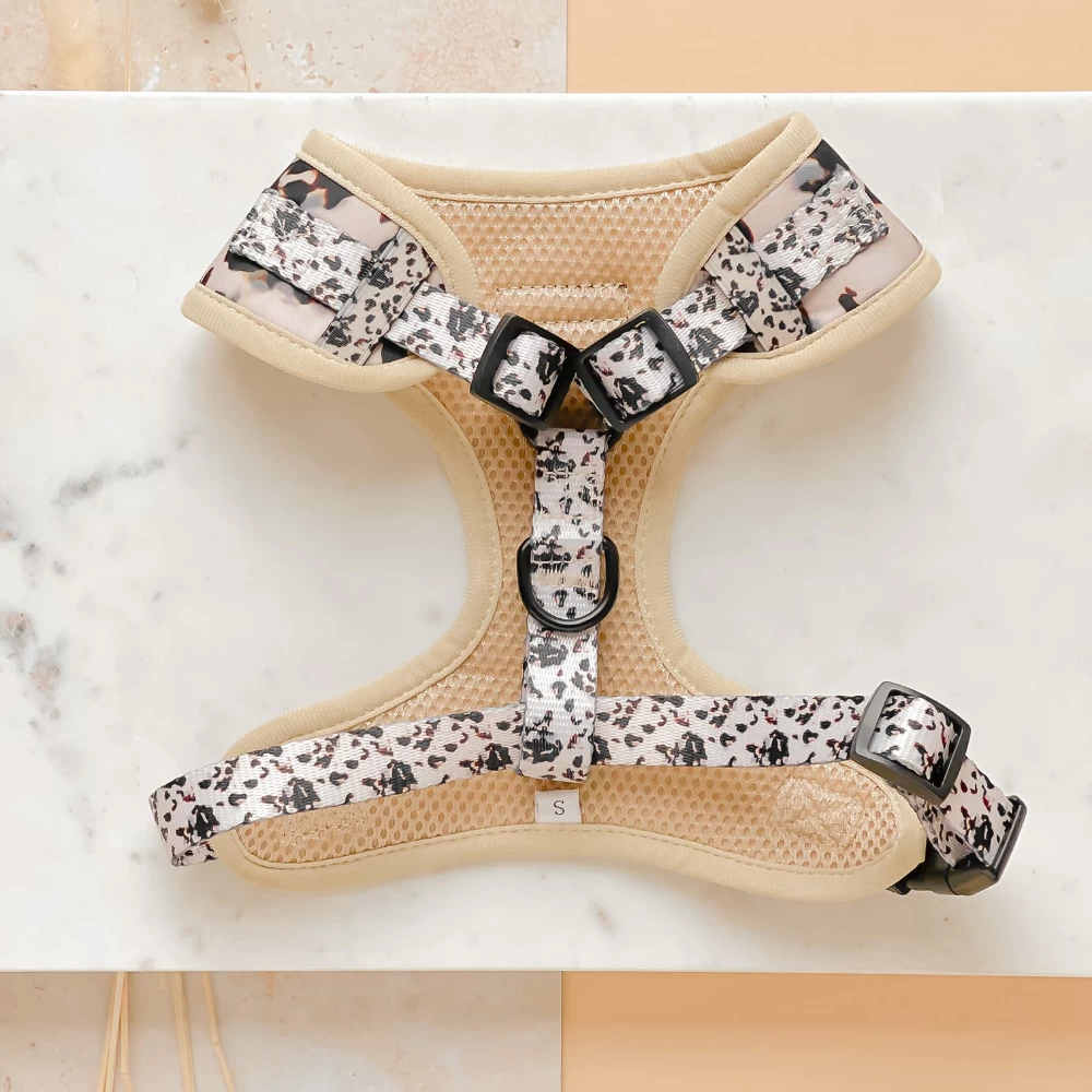 Ivory Tort Adjustable Neck Harness, Lead & Collar Bundle 6 Ivory Tort Adjustable Neck Harness, Lead & Collar Bundle - Image 4