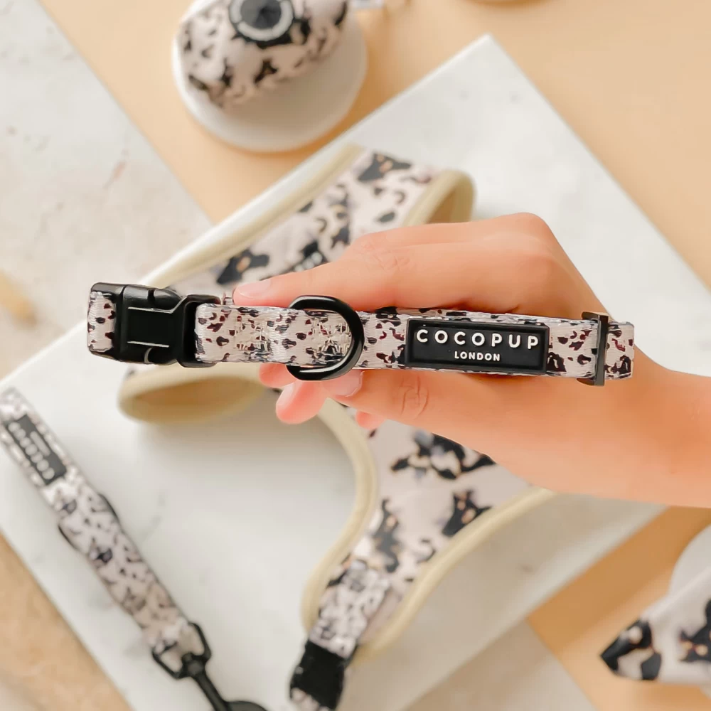 Ivory Tort Collar 3 Ivory Tort Collar