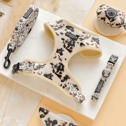 Ivory Tort Collar 7 Ivory Tort Collar -Cocopup London Untitleddesign 30 b7a8348c ab82 434e afee 9ed0c3d938dd