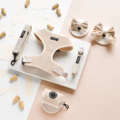 LUXE Velvet Collar - Champagne -Cocopup London Untitleddesign fccd6798 469b 40c6 8765 c27961d3d8f6