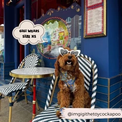 Amalfi Lemon Adjustable Neck Harness -Cocopup London Your paragraph text 6