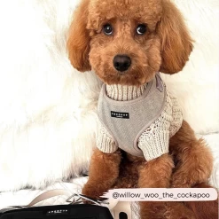 Brown Tweed Adjustable Neck Harness -Cocopup London aurora thepbgv 1