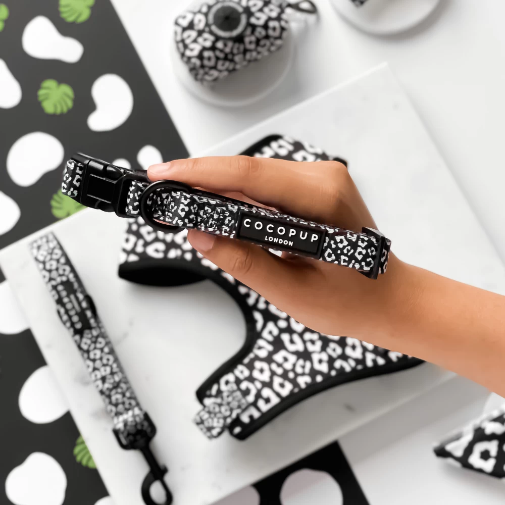 Black Leopard Puppy Lead & Collar Set 4 Black Leopard Puppy Lead & Collar Set - Image 2