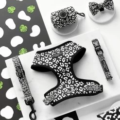 Black Leopard Lead - Puppy -Cocopup London black leopard collection 1800x1800 1bb29b1d 83cd 49e6 9f84 a578b4f9312b