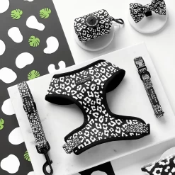 Black Leopard Collar -Cocopup London black leopard collection 4bb35036 d00b 4a10 9d0a bd634bdedee2