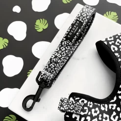 Black Leopard Puppy Lead & Collar Set 7 Black Leopard Puppy Lead & Collar Set -Cocopup London black leopard lead 6f366909 f3e9 4bda a7cc 47b8c38b4d12