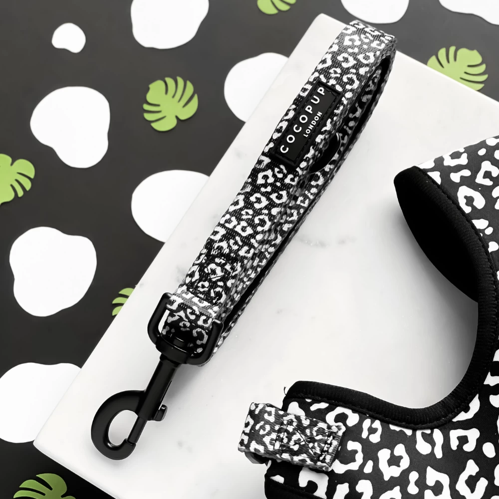 Black Leopard Puppy Lead & Collar Set 5 Black Leopard Puppy Lead & Collar Set - Image 3