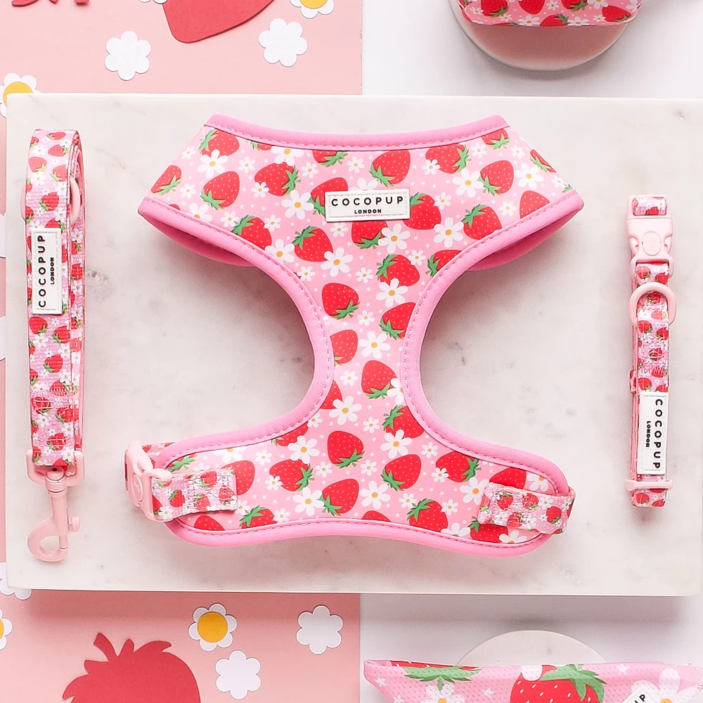 Pupberry Fields Adjustable Neck Harness, Lead & Collar Bundle 3 Pupberry Fields Adjustable Neck Harness, Lead & Collar Bundle