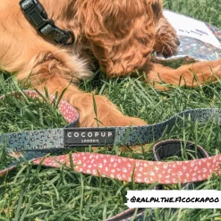 Khaki Leopard Lead - Puppy 11 Khaki Leopard Lead - Puppy -Cocopup London puppy lead KL