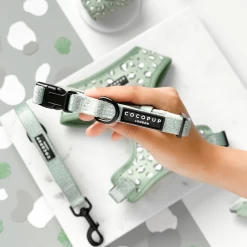 Sage Leopard Adjustable Neck Harness, Lead & Collar Bundle -Cocopup London sage leopard collar2 1800x1800 b82a9aee 7894 4e0a 9d09 2a09bbe55acd