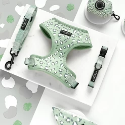 Sage Leopard Adjustable Neck Harness -Cocopup London sage leopard collection eeb6b60f a5e7 44b8 93aa 9e98349a35e5