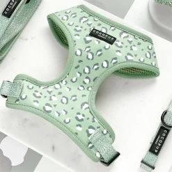 Sage Leopard Adjustable Neck Harness, Lead & Collar Bundle -Cocopup London sage leopard harness1 1800x1800 d1f9e9e8 eb30 4459 8c8c 2bc29f27096c